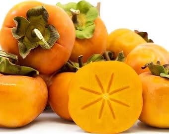 Amazon.com : 9EzTropical - Fuyu Asian Persimmon - 4 to 5 Feet Tall